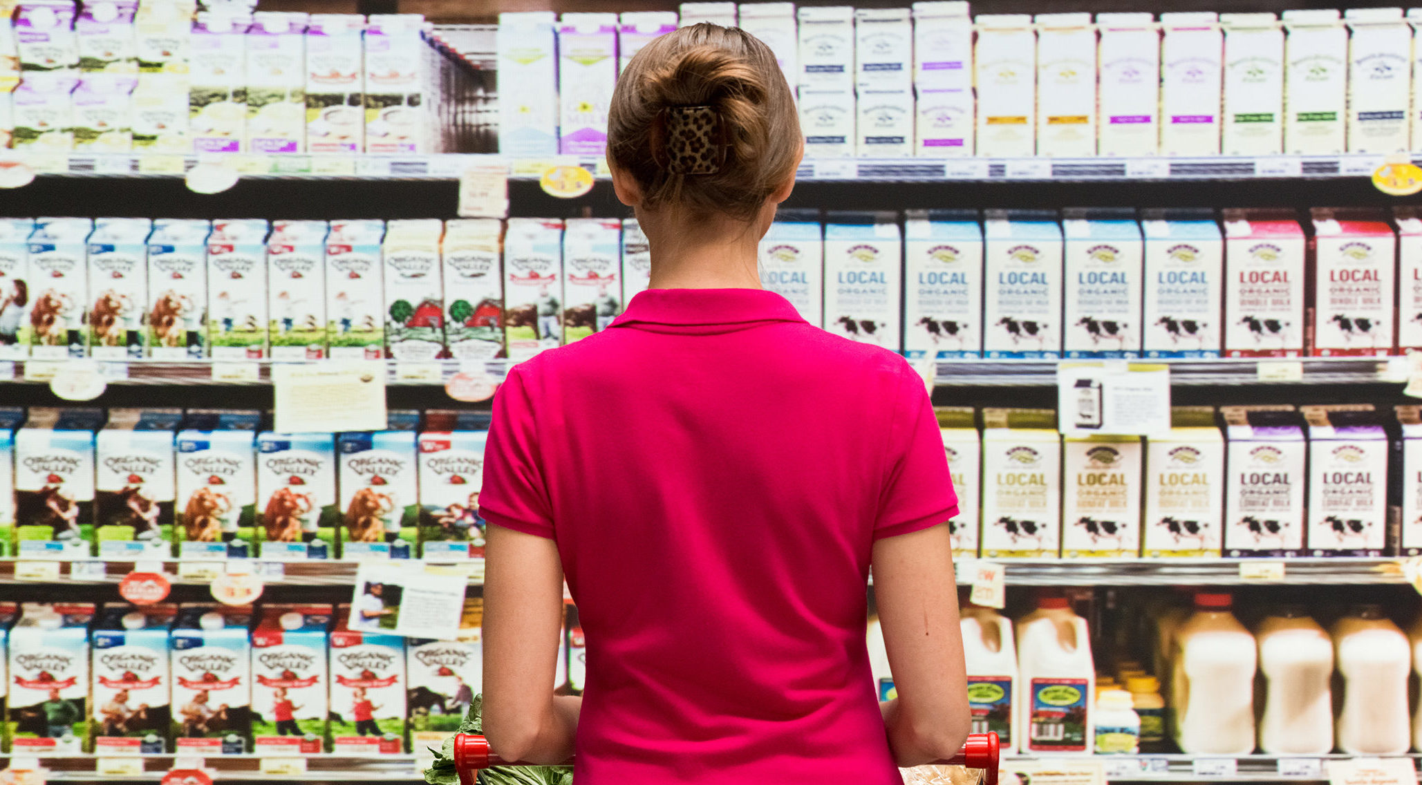 Customer in supermarket, from behind while she looks at shelves of milk in cartons and jugs