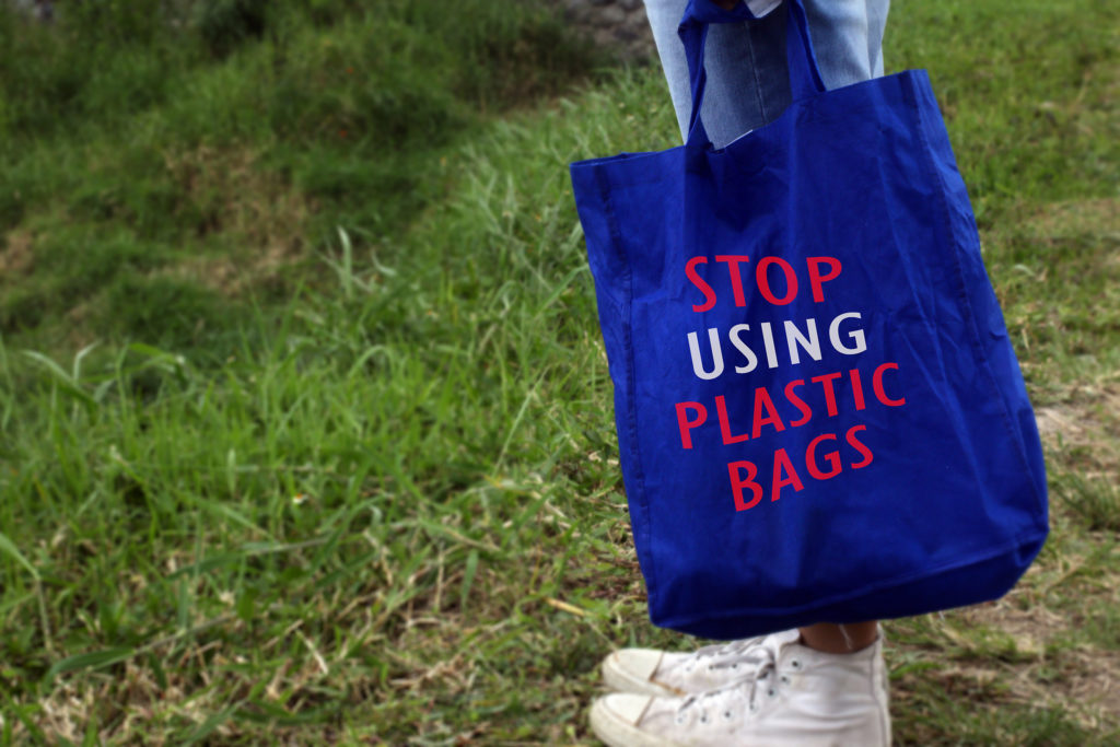 Young woman standing on grass holding a blue women foldable shopping bag reusable eco with text message - Just say no to plastic bags. Love nature and earth concept.