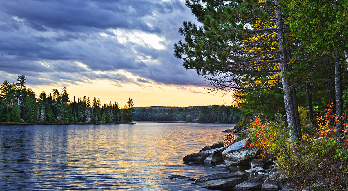 Dramatic sunset and pines at Lake of Two Rivers in Algonquin Park, Ontario, Canada