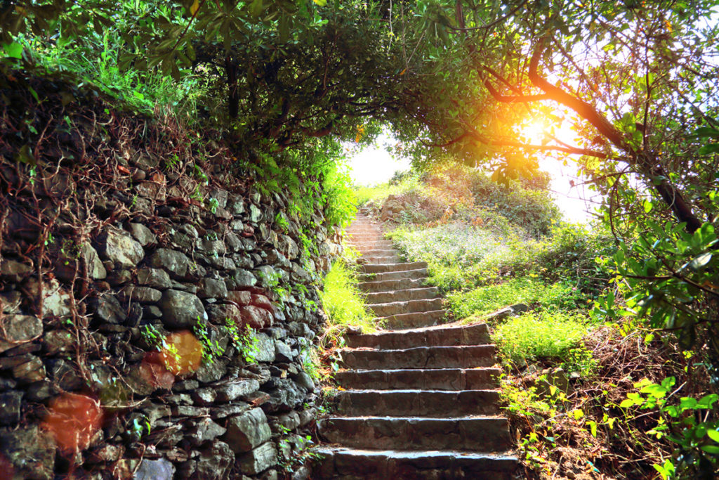 Scenic Vernazza trail - sunlight streaming behind trees with uneven stone steps leading up a hill