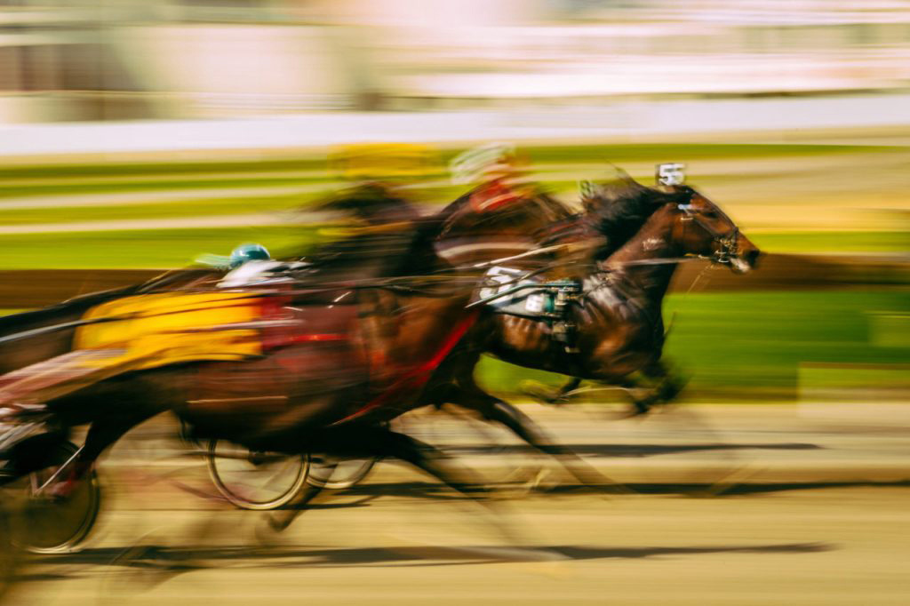 blurry image of horses and jockeys racing