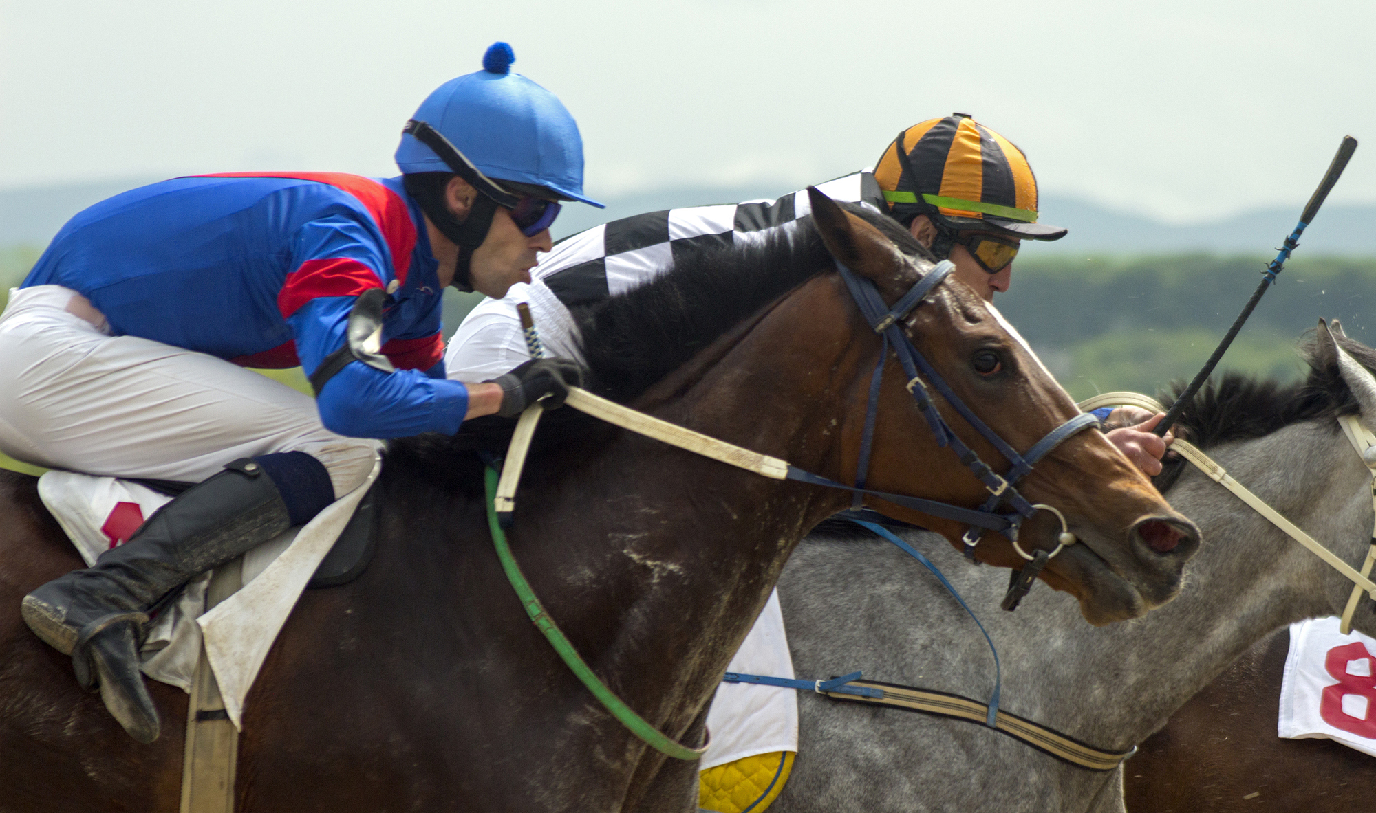 two jockeys riding horses in horse race